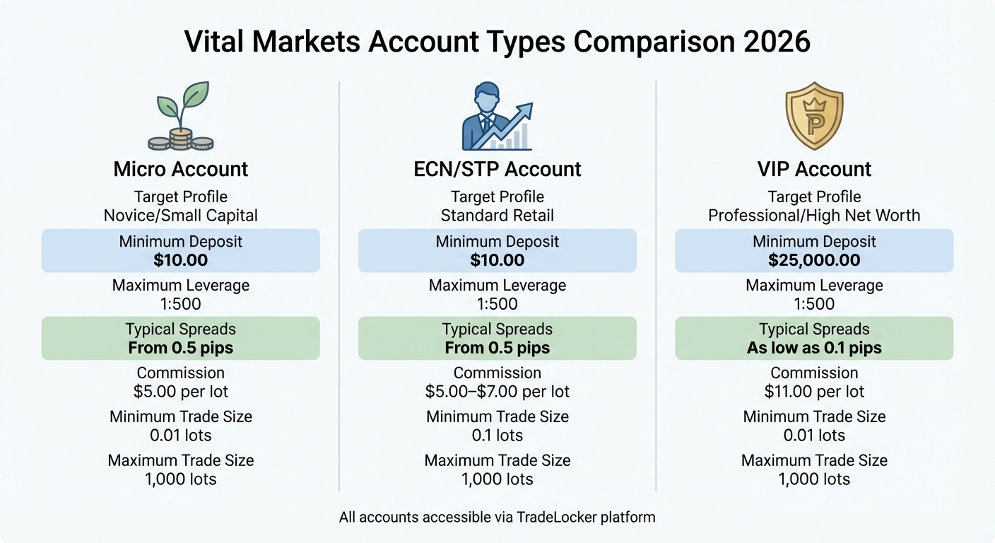 Vital Markets Account Types Comparison 2026